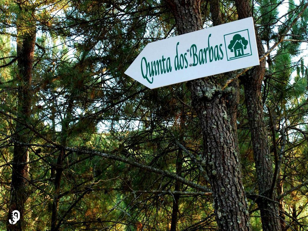 Penzion Quinta Dos Barbas Oliveira do Hospital Exteriér fotografie